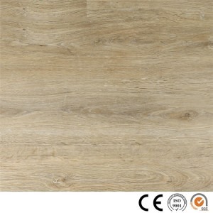SPC Floor 1903